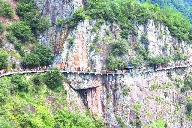 村书记走进直播间,为观众集齐山东年货“地图”